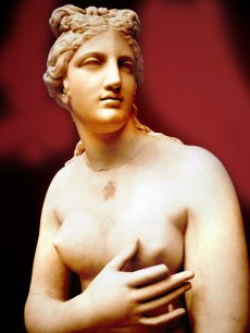 Venus8.jpg