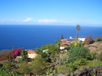 Mariposa_03.jpg