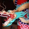 Drache
